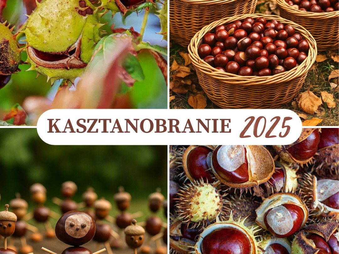 IDŹ NA SPACER, ZBIERAJ KASZTANY!    